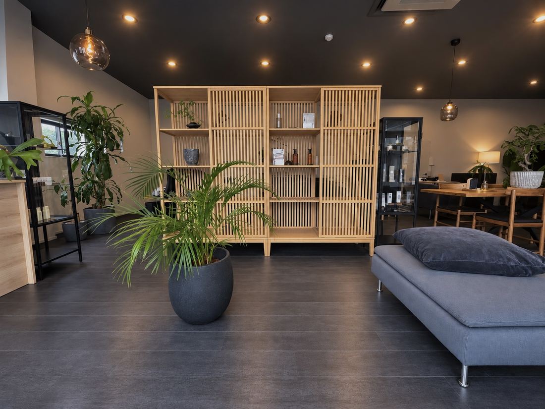木の棚とヤシの鉢植えのある店内